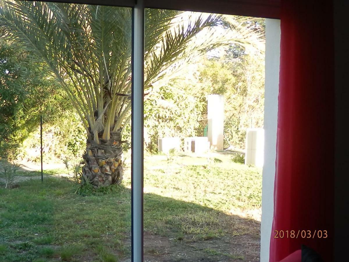Location Vacances Linguizzetta Εξωτερικό φωτογραφία