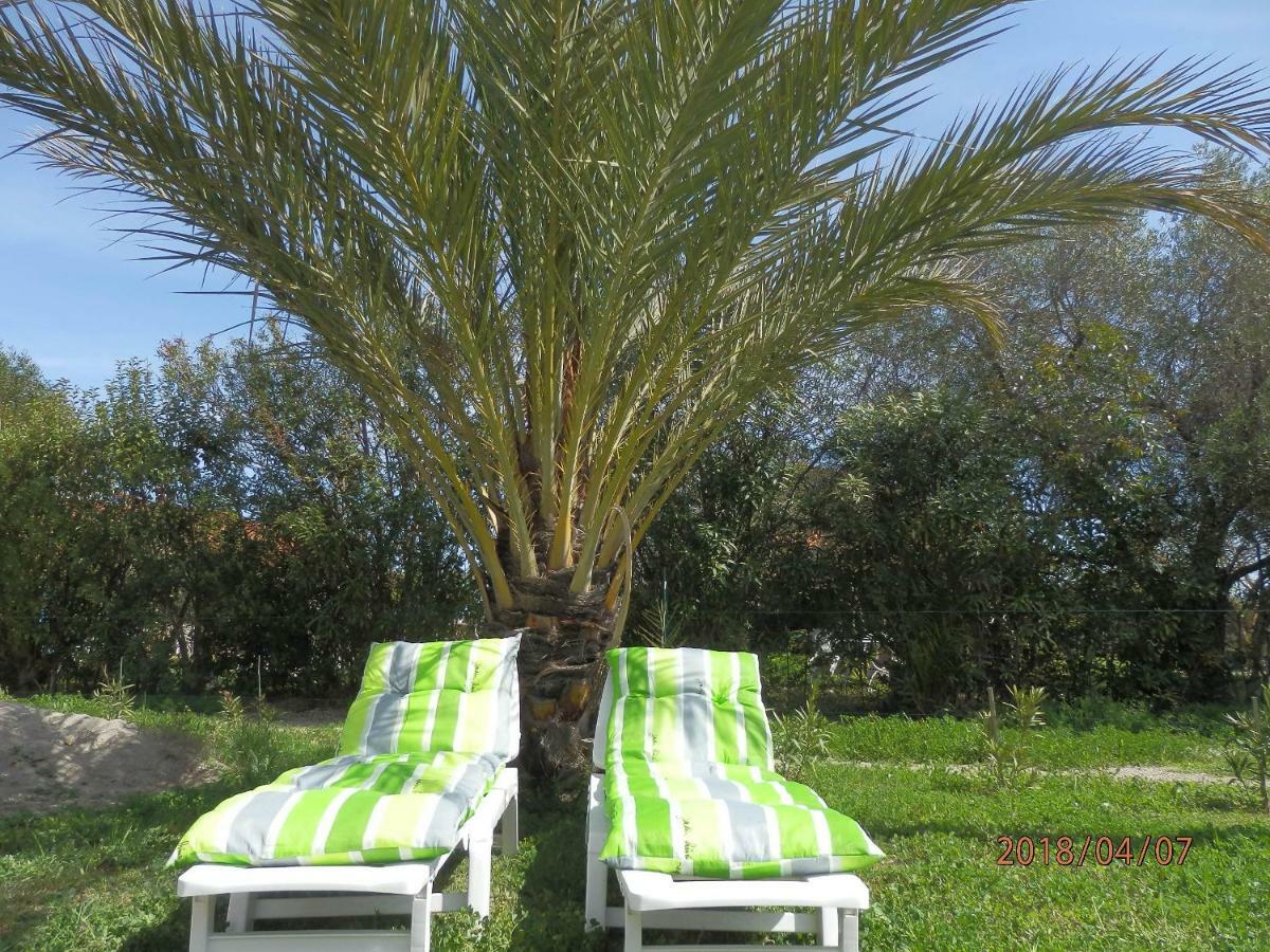 Location Vacances Linguizzetta Εξωτερικό φωτογραφία